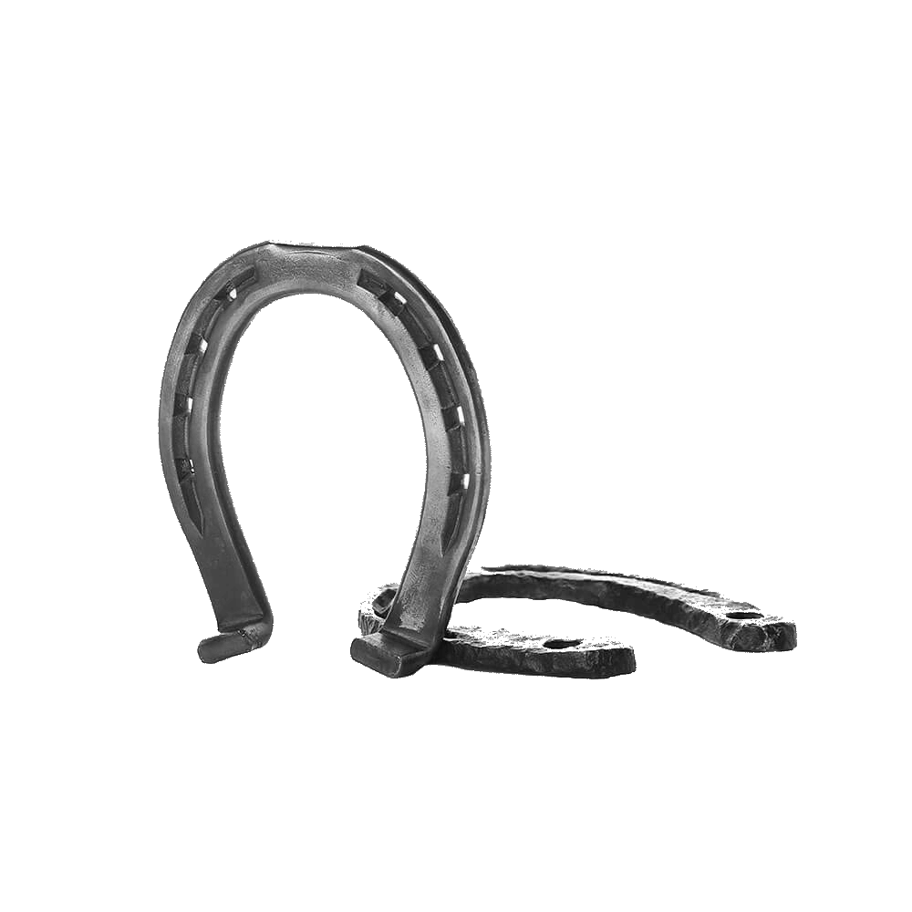 Cast Iron Horseshoe