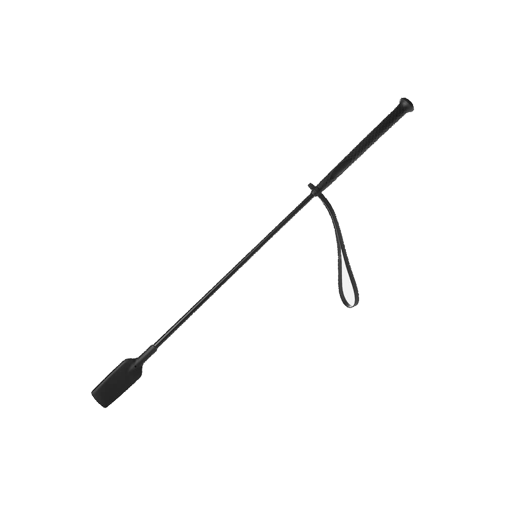 Riding Whip