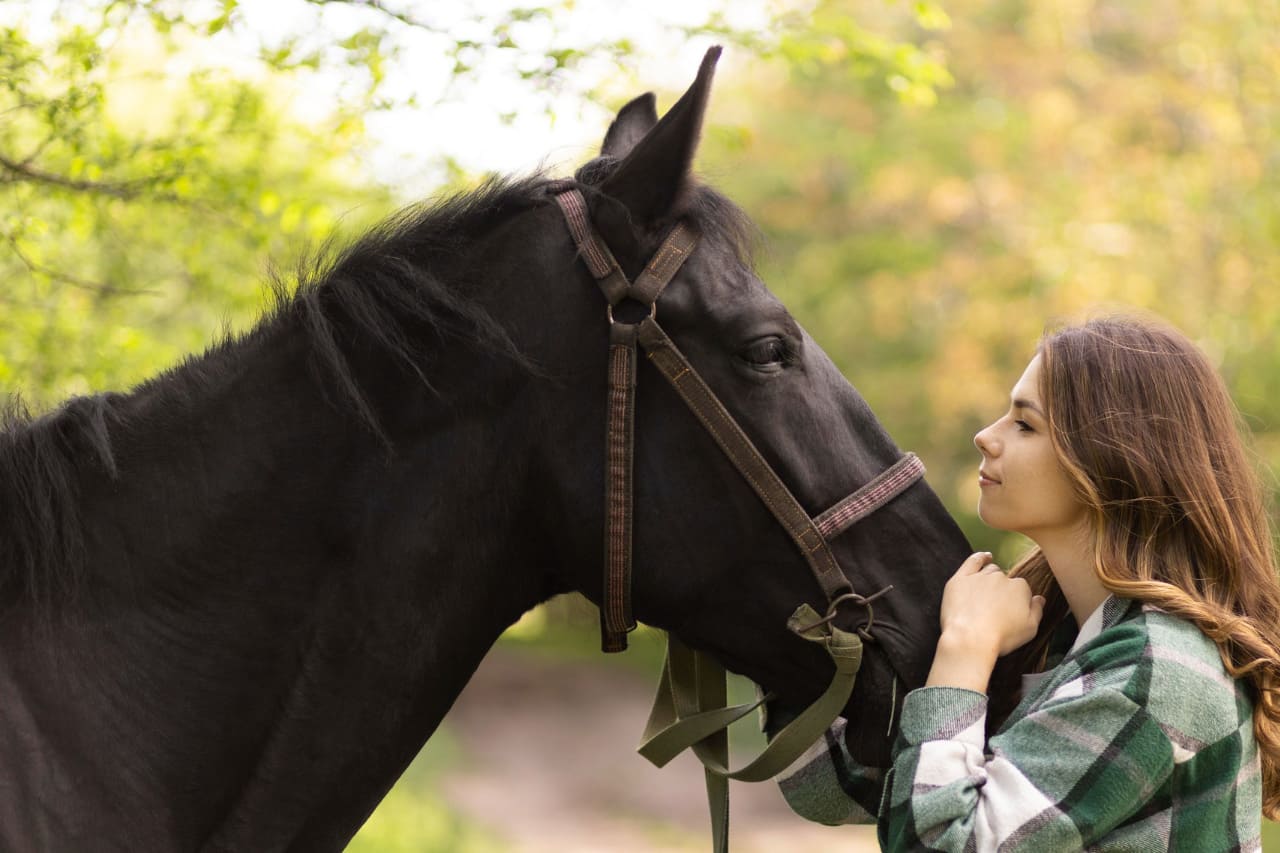 5 Fun Activities Beginners Horse Riding – Welcome